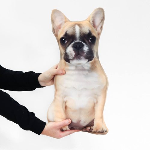 Francia Bulldog Párna - Saját Fényképes Ajándék