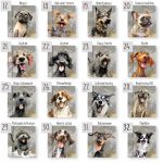 Egyedi Kutyás Határidőnapló - Névre Szóló Kutyás Ajándék