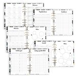 Cica Grafikás Naptár - Macska Mintás Füzet